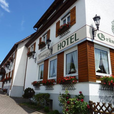 Hotel Landgasthof Gruener Baum Hochdorf  Zewnętrze zdjęcie