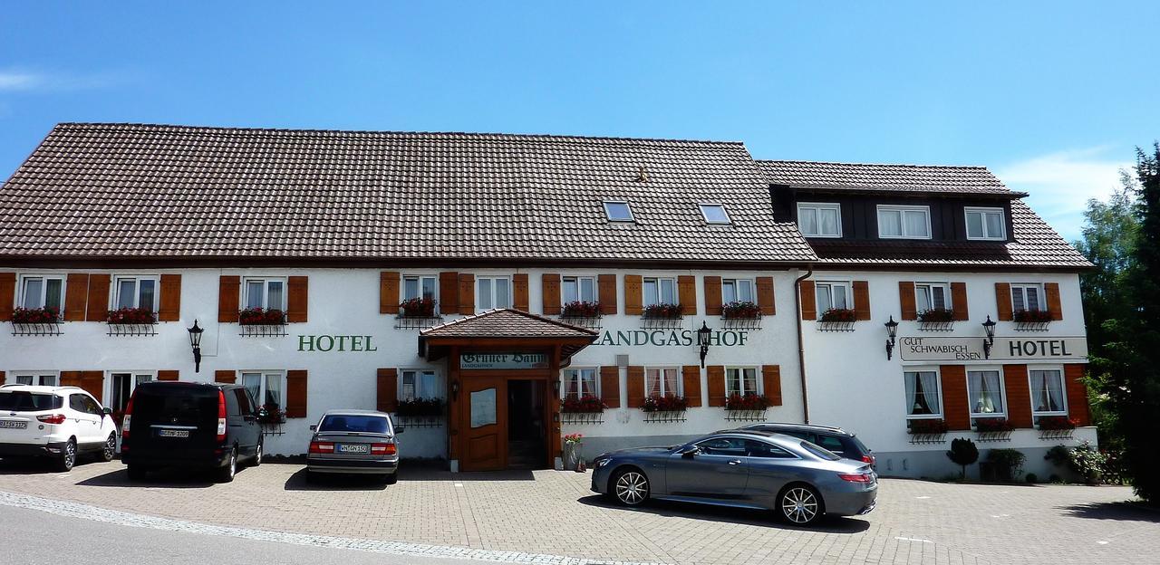 Hotel Landgasthof Gruener Baum Hochdorf  Zewnętrze zdjęcie