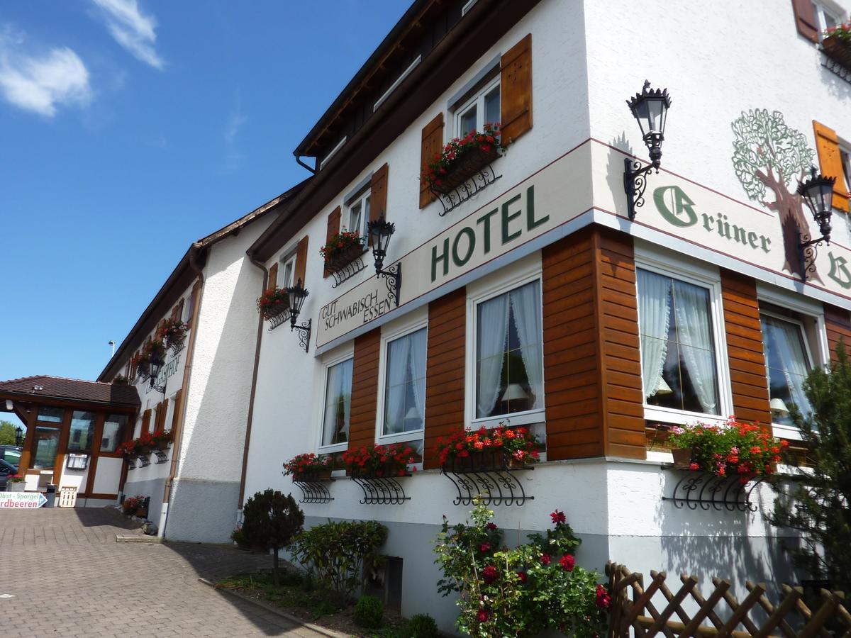 Hotel Landgasthof Gruener Baum Hochdorf  Zewnętrze zdjęcie